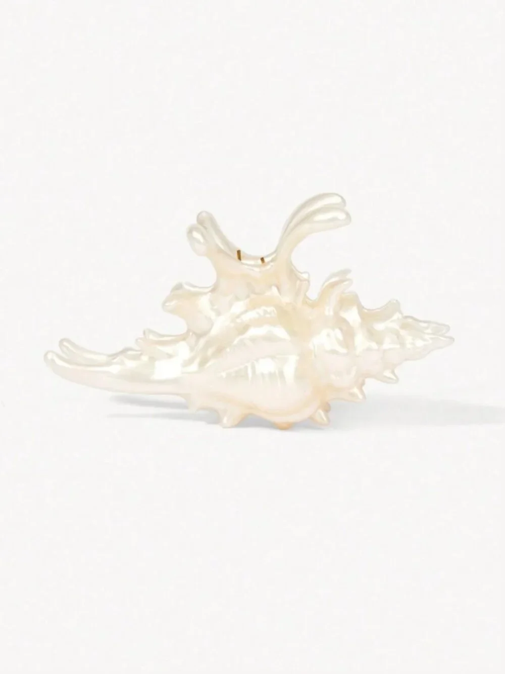 Cream Pearlescent Seashell Hair Claw Clip